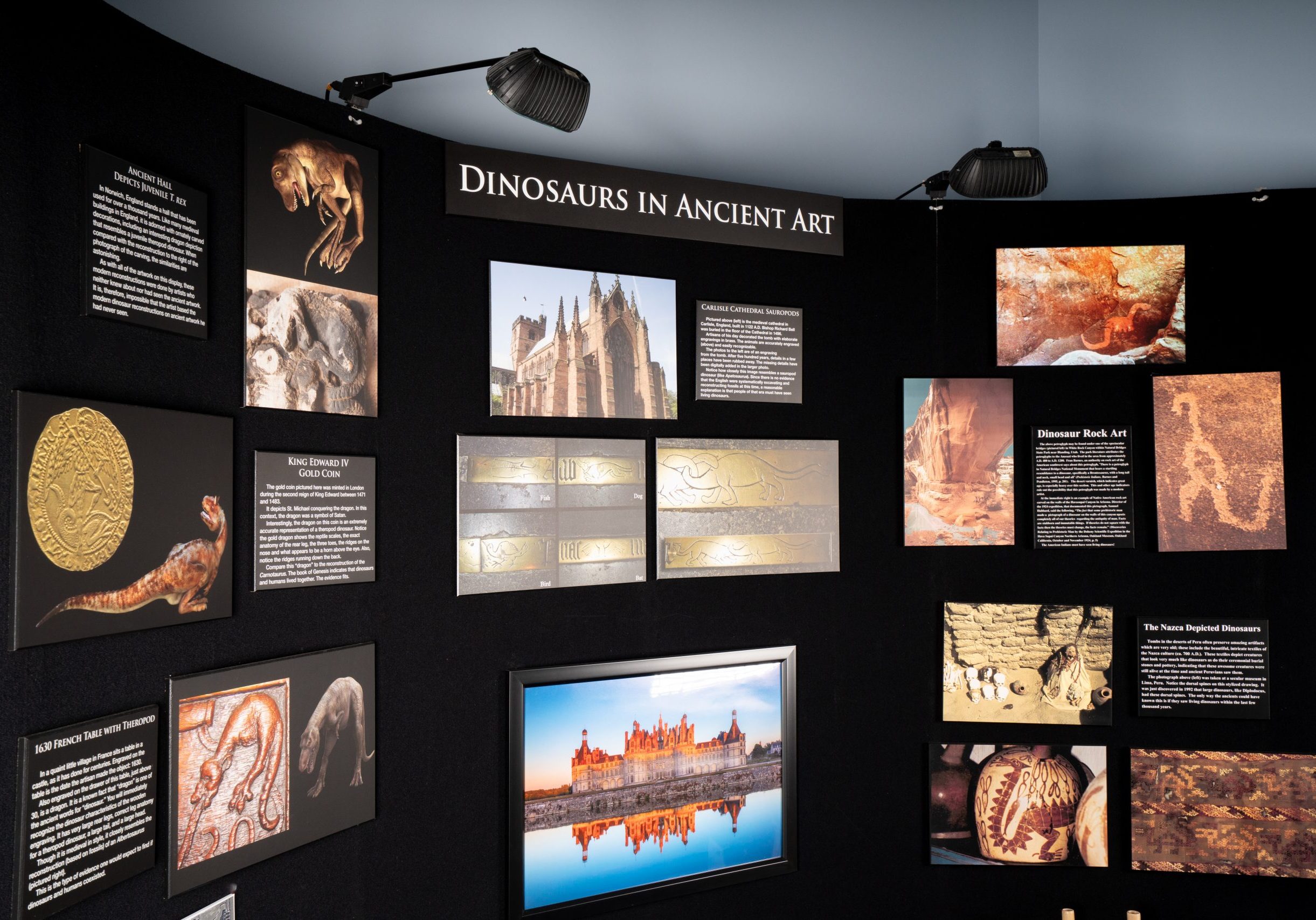 Dragon_Display_2