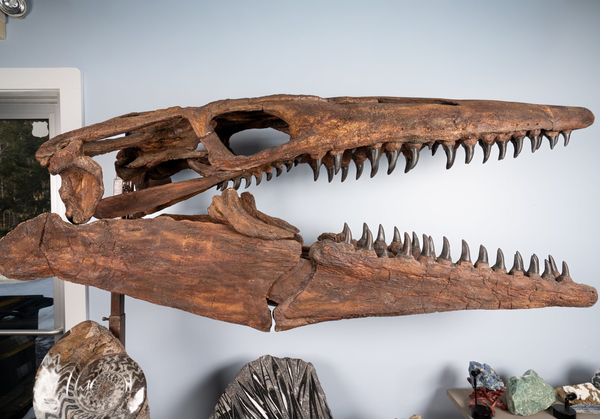 Skulls_3